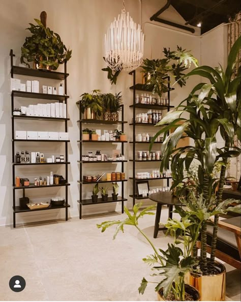 Love this styling - screenshot - credit to IG: @wildheartbeauty Hair Retail Display Ideas, Spa Room With Plants, Boutique Hair Salon Interior Design, Spa Dispensary Room Ideas, Salon Earthy Decor, Safari Theme Hair Salon, Salon Entry Way Ideas, Botanical Hair Salon Decor, Green And Gold Spa Decor