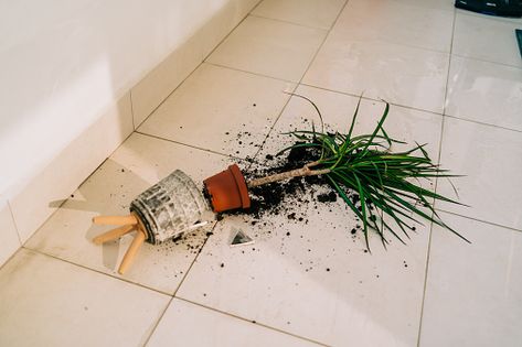 Broken Vase, Plant Home, House Chores, Flower Pots Outdoor, Outdoor Flowers, The Balcony, Ceramic Pot, On The Floor, The Floor