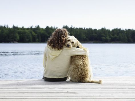 Losing a pet is devasting, it's ok to grieve Dog Owner Photoshoot, Dog Instagram Captions, Dog Photoshoot, Types Of Dogs, Older Dogs, Losing A Pet, Foto Inspiration, Dog Photography, Pet Loss