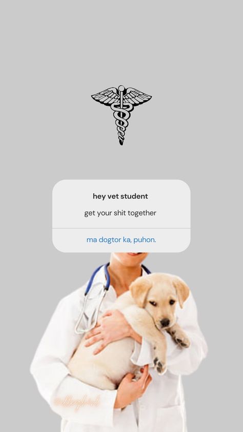 wallpaper vet med veterinary cebu bisaya Veterinary Medicine Aesthetic Wallpaper, Dvm Veterinary Medicine Wallpaper, Veterinarian Aesthetic Wallpaper Iphone, Vet Student Aesthetic Wallpaper, Vetmed Wallpaper, Veterinary Aesthetic Wallpaper, Future Veterinarian Wallpaper, Vet Aesthetic Wallpaper, Veterinary Medicine Wallpaper