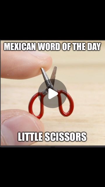 Pecos Locos on Instagram: "Mexican word of the day : Little scissors" Mexican Word Of The Day, Mexican Words, Word Of The Day, Low Carb, The Day, On Instagram, Instagram, Low Carb Recipes