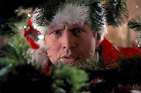 Christmas Vacation!  Look out for the squirrel, Sparky :) Humour, National Lampoons Christmas Vacation Quotes, Holiday Movie Quotes, National Lampoons Christmas Vacation Movie, Christmas Cover Photo, Clark Griswold Christmas, Best Christmas Vacations, Griswold Christmas Vacation, Christmas Vacation Party