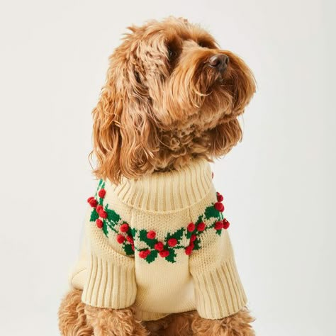 Christmas Sweaters Embroidery, Dog Christmas Sweater, Foggy Dog, The Foggy Dog, Christmas Pullover, Old Pillows, Turtleneck Style, Mini Goldendoodle, Mini Dachshund