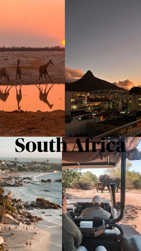 South Africa #SouthAfrica #aestehtic #nature South Africa Aesthetic, Africa Aesthetic, South Africa Vacation, Shuffle Board, Africa Vacation, Africa People, Volleyball Pictures, Travel Inspiration Destinations, South Africa Travel