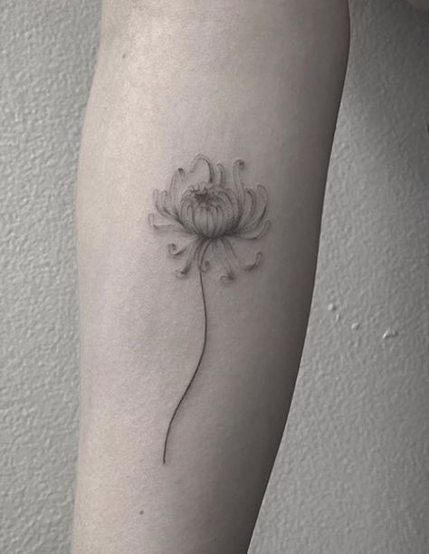 Simple Chrysanthemum Tattoo, Chrysanthemum Flower Tattoo, Chrysanthemum Tattoo, M Tattoos, Birthday Tattoo, Mommy Tattoos, Floral Tattoo Sleeve, Tattoo For Son, Birth Flower Tattoos