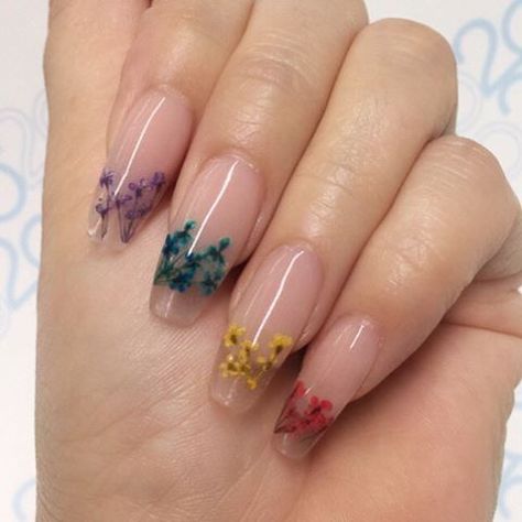 ✧pin//@jaimariahoward Nagellack Trends, Colorful Nail, Nail Art Gel, Flower Nail Art, Acrylic Nail Art, Gel Nail Designs, Nail Arts, Gel Nail Art, Gel Manicure