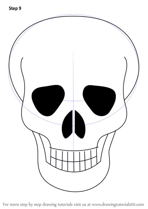 Learn How to Draw Skull Easy (Skulls) Step by Step : Drawing Tutorials Drawing Ideas Sculls, How To Paint A Skull Step By Step, Skeleton Head Drawing Easy, Skull Drawing Simple Step By Step, Skeleton Head Art, Draw A Skull Easy, Skull Head Drawing, Skeleton Head Drawing, Simple Skull Drawing