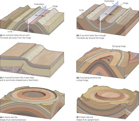 A blog about geology. Geology Humor, Earth Science Lessons, Rock Cycle, Geology Rocks, Sedimentary Rocks, Plate Tectonics, Meteorology, Science Lessons, Earth Science