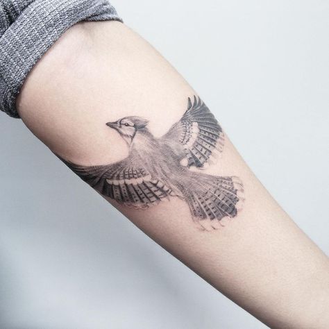 Wonni / Korean Artist🇰🇷 (@wonniiink) posted on Instagram: “A Blue jay on her forearm🦅 .…” • Dec 10, 2020 at 11:38pm UTC Neo Traditional Blue Jay Tattoo, Tiny Blue Jay Tattoo, Blue Jay Flying Tattoo, Steller Jay Tattoo, Stellar Jay Tattoo, Blue Jay Tattoo Black And White, Jay Bird Tattoo, Blue Jay Drawing, Bluejay Tattoo