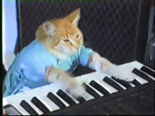 Keyboard Cat GIF - Keyboard Cat MusicalCat - Discover & Share GIFs Keyboard Cat, Keyboard, Piano, Gif