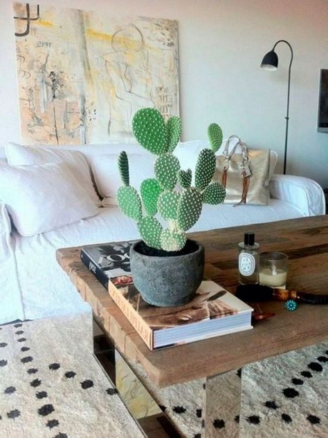 11+ Lovely Small Cactus Ideas For Interior Decorations - lmolnar Indoor Cactus Garden, Kaktus Dan Sukulen, Tanaman Indoor, Potted Cactus, نباتات منزلية, Indoor Cactus, Bohemian House, Cactus Y Suculentas, House Plants Indoor