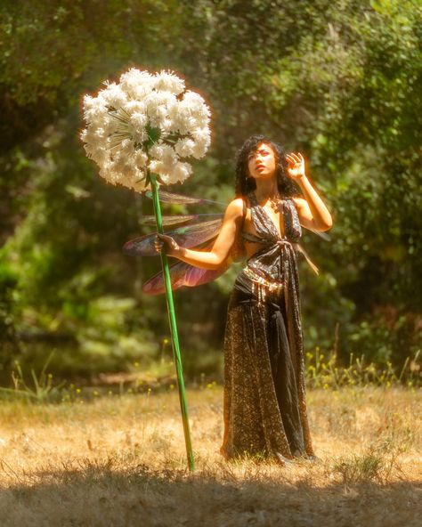 "Led me astray to the faerie soirée" 📷 Photographer ☆ @fayd_art 🧚‍♀️ Model ☆ @m3iday 🪽 wings by ☆ @thewingsua ☆ ☆ ☆ ☆ #fyp #fairyphptography #fairyphotoshoot #fairy #fairycore #fairygarden #fairytales #fairyphotography #fairyphoto #photography #photooftheday #photoshoot #photo #photograph #photofairy Fairy Core Photoshoot, Faerie Photoshoot, Fairy Queen Aesthetic, Fairy Concept Photoshoot, Fairy Garden Photoshoot, Fairy Theme Photoshoot, Forest Fairy Photoshoot, Fairy Photoshoot Ideas, Alice Photoshoot