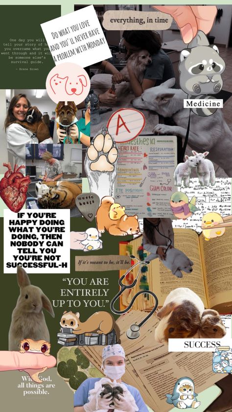 Aesthetic Vet Pictures, Vet Pictures, Zoo Veterinarian, Vet School Motivation, Medicine Humor, Veterinarians Medicine, Vet Tech School, Vet Tech Student, Veterinary School