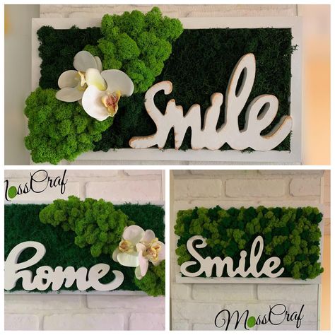 Tablou cu licheni. dim. 75/40 cm. 680 cm. – Decorațiuni,cadouri si tablouri personalizate cu licheni și mușchi,pentru casa și afacerea ta! Moss Wall Art, Moss Art, Moss Wall, Faux Plants, Plant Wall, Design Case, Flower Decorations, Diy And Crafts, Spa