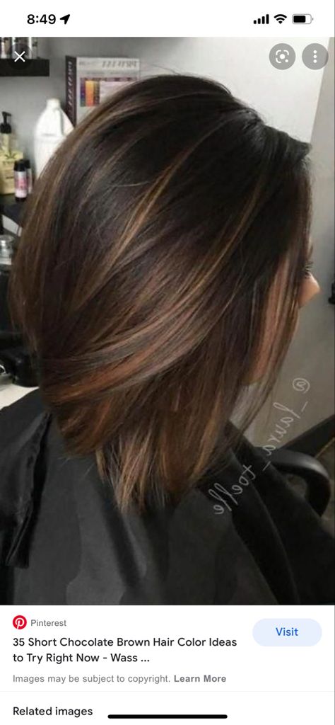 Short Chocolate Brown Hair, Short Dark Brown Hair, Chocolate Brown Hair Color Ideas, Dark Ombre Hair, Rambut Brunette, Brown Hair Color Ideas, Chocolate Brown Hair Color, Chocolate Hair, Chocolate Brown Hair