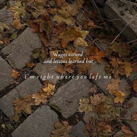 Evermore Widget, Evermore Lyrics, Taylor Swift Discography, Evermore Taylor Swift, Fall Maple Leaves, Mary Winchester, Handmade Small Business, Business Pinterest, Fall Mood Board