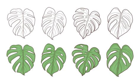 set of hand drawn monstera leaves Variegated Monstera Painting, Monsters Leaf Drawing, Delicious Monster Leaf Drawing, Monster Drawing Leaf, Painted Monstera Leaves, Monstera Drawn Simple, How To Draw Monstera Leaf, Monstera Leaf Illustration, Monstera Drawn