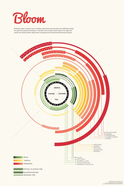 Time: A 12"x18" infographic poster about the optimal planting and blooming times of various flowers. Bar Chart Design Data Visualization, Time Infographic, Circular Data Visualization, Circular Infographic, Fun Data Visualization, Circular Bar, Comparison Data Visualization, Types Of Data Visualization, Architecture Diagrams