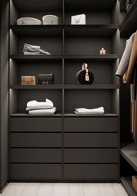 behance media image Dark Brown Closet, Brown Closet, Minimalist Living Room Apartment, Dressing Room Closet, Walk In Closet Design, Closet Design Layout, Wardrobe Room, Closet Decor, Bathroom Design Decor