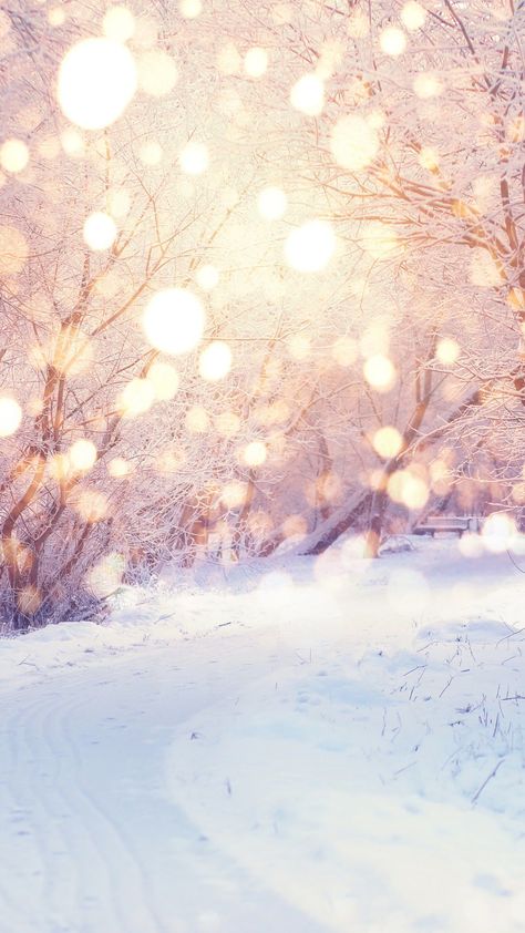 Winter Background, Tapeta Pro Iphone, Winter Wallpaper, Winter Is Here, Winter Aesthetic, Computer Wallpaper, Background For Photography, Photo Backgrounds, Winter Holidays