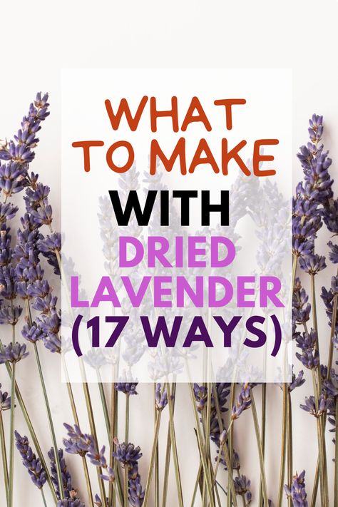 what to make with dried lavender Drying Lavender Flowers, Lavender Bundles Diy, Dried Lavender Uses Witch, What Can You Do With Lavender, Lavender Stems Uses, Dry Lavender Diy, What To Do With Lavender Buds, What To Do With Dried Lavender Buds, Homemade Lavender Gifts