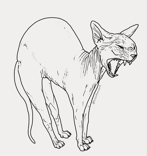 Sphinx Tattoo Cat, Cat Hissing Tattoo, Cat Linework Tattoo, Sphinx Cat Drawing, Hairless Cat Drawing, Hairless Cat Tattoo, Sphinx Cat Tattoo, Sphynx Cat Drawing, Line Work Drawing