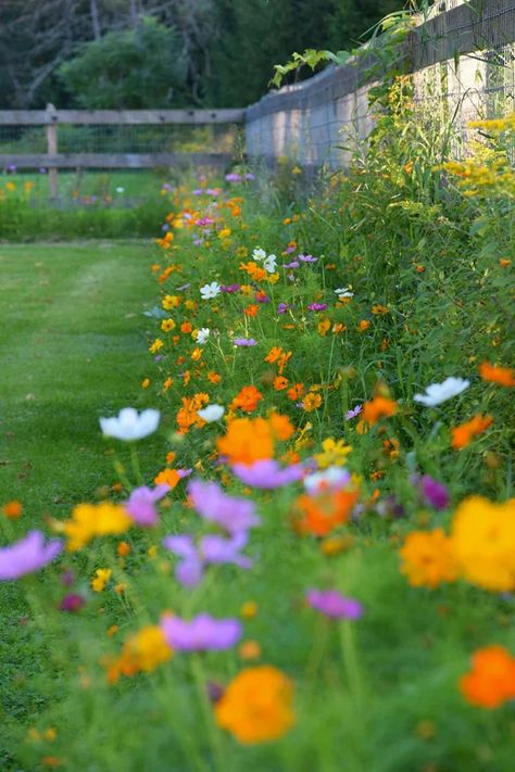 Circle Garden, Grow Wildflowers, American Meadows, Wild Flower Meadow, Meadow Garden, Backyard Flowers, Cut Flower Garden, Have Inspiration, Wildflower Garden