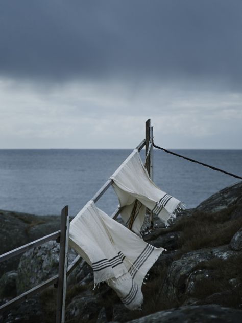 Dark Seaside Aesthetic, Dredge Aesthetic, Coastal Academia Aesthetic, Moody Summer Aesthetic, Ocean Academia Aesthetic, Moody Coastal Aesthetic, Dark Coastal Aesthetic, Vintage Coastal Aesthetic, Seaside Cottage Aesthetic