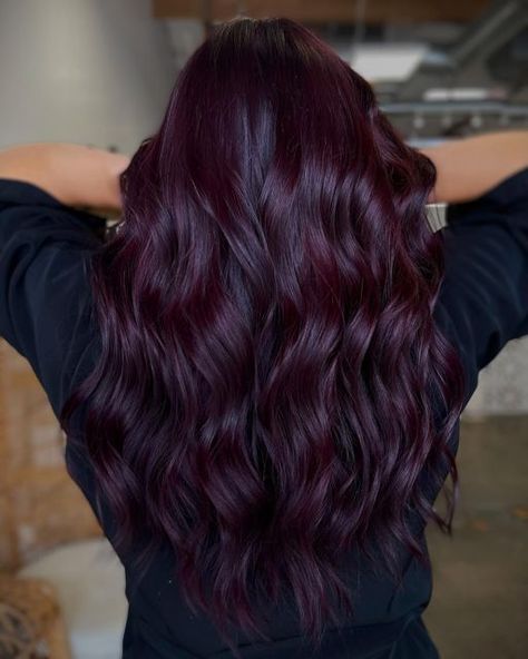 Hair Color Ideas For Wavy Hair Curls, Burgundy Violet Hair Color, Maroon Violet Hair, Dark Red Hair With Purple Undertones, Dark Red Violet Brown Hair, Purple Dark Hair Color, Mahogany Purple Hair Color, Dark Purple Burgundy Hair, Dark Hair Colors For Fall Deep Purple