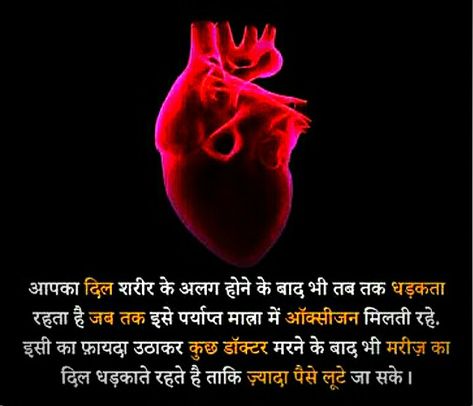 Facts About Heart, Facts About Humans, Bhaji Recipe, About Heart, Human Heart, Facts About, I Hope You, I Hope, Mindfulness