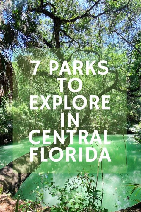 Florida Hiking, Florida Hikes, Hiking In Florida, Florida Vacation Spots, Florida Travel Destinations, Florida Parks, Florida Travel Guide, Florida Camping, Travel Florida