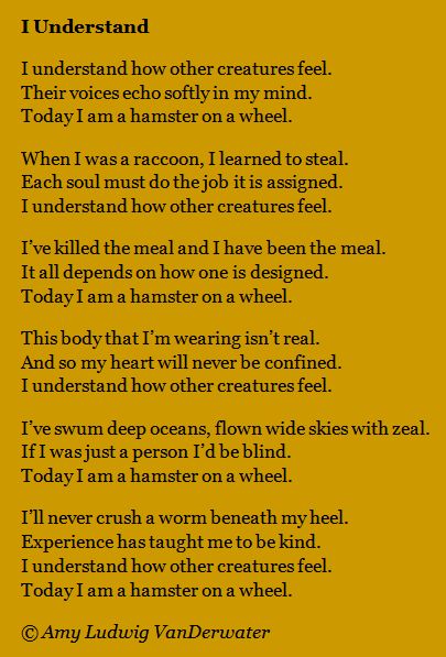 The Poem Farm: I Understand - a Villanelle - from The Poem Farm, Amy Ludwig VanDerwater's site full of hundreds of poems, poem mini lessons, and poetry ideas for home and classroom - www.poemfarm.amylv.com Villanelle Poem, Poetry Portfolio, Ap Literature, Childrens Poetry, Poetry Ideas, The Poem, Writing Workshop, Mini Lessons, Literary Quotes