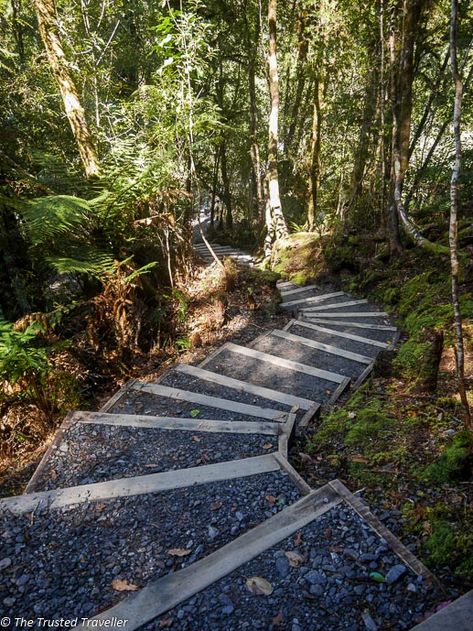 Steps To Lake Stairways, Southern Landscaping, Wood Pathway, Outside Steps, Landscape Stairs, Landscape Steps, Walkways Paths, Outdoor Space Design, Garden Stairs