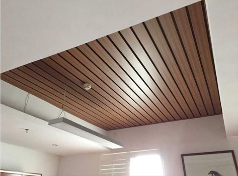 Ceiling panels ideas