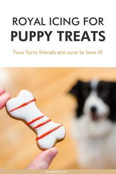 How To Make Icing For Dog Treats, Dog Biscuit Icing Recipe, Dog Safe Royal Icing, Dog Friendly Royal Icing Recipe, How To Make Dog Icing, Homemade Dog Cookies With Icing, Icing For Dog Cookies, Handmade Dog Treats, Dog Safe Cookie Icing