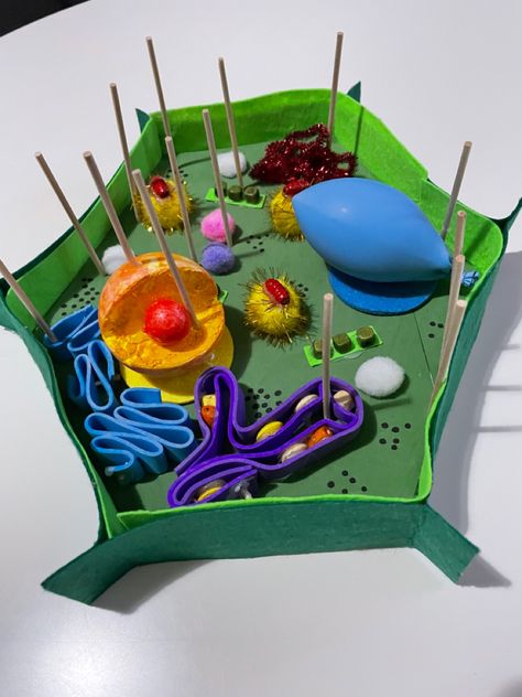 Plant Cell Shoe Box Project, Diy Cell Model, Diy Plant Cell Model, Cell Model Project Plant, Biology Ideas Projects, 3d Plant Cell Project Ideas, Plant Cell Model Project Ideas, Cell Membrane Model Projects, Cell 3d Project