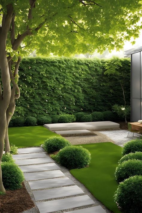 Minimalist privacy landscaping with cerca natural elements, privacy plants, and contemporary pathway design for backyard privacy House Privacy Ideas, Privacy Landscaping Ideas, Minimalist Garden Design, Concrete Pathway, Espalier Fruit Trees, Shrubs For Privacy, Protect Your Peace, Privacy Plants, Privacy Landscaping