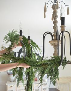 How to Decorate a Chandelier for Christmas Decorated Chandelier For Christmas, Garland On Chandelier, Decorating A Chandelier For Christmas, How To Decorate A Chandelier, Christmas Chandelier Ideas, Chandelier Christmas Decor, Christmas Chandelier Decor, Christmas Chandeliers, Prairie Christmas