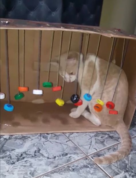 Diy Cat Toys Easy, Katt Diy, Katt Grejer, Diy Cat Bed, Kat Diy, Chat Diy, Cat Entertainment, Homemade Cat Toys, Diy Pet Toys