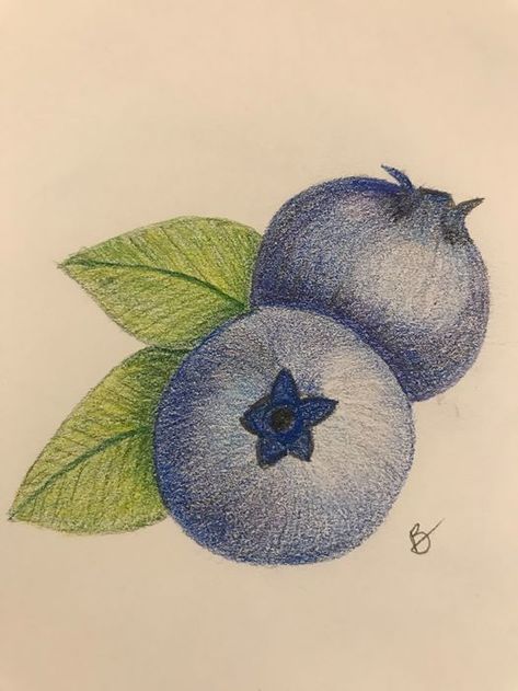 Blueberry Drawing, Colored Pencil Artwork Ideas, Colored Pencil Artwork, Seni Dan Kraf, Pencil Drawings Easy, Seni Cat Air, Easy Drawings Sketches, Arte Inspo, Doodle Art Designs