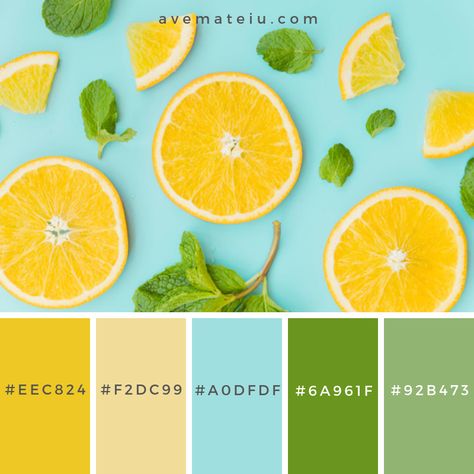 Sliced orange and mint leaves pattern Color Palette #270 - Color combination, Color pallets, Color palettes, Color scheme, Color inspiration, Colour Palettes, Art, Inspiration, Vintage, Bright, Blue, Warm, Dark, Design, Yellow, Green, Grey, Red, Purple, Rustic, Fall, Autumn, Winter, Summer 2019, Nature, Spring, Summer, Flowers, Sunset, Sunrise, Pantone https://avemateiu.com/color-palettes/ Fresh Colour Combinations, Cheerful Colour Palette, Fresh Color Scheme, Light Blue Green Yellow Color Palette, Color Pallets Nature, Light Green Pallet Color, Yellow And Green Color Scheme, Yellow Green Colour Palette, Lively Color Palette