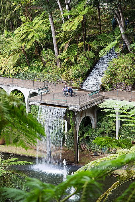 Monte Palace Gardens, Funchal, Madeira island, Portugal ✯ ωнιмѕу ѕαη∂у Portugal Garden Design, Portugal Garden, Island Landscaping, Sloping Lot House Plan, Water Architecture, Garden Island, Palace Gardens, Funchal Madeira, Garden Waterfall