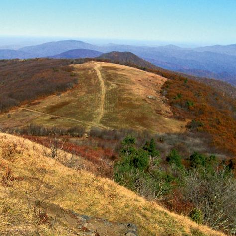 Appalachian Trail: Sams Gap to Big Bald Mountain | WNC Magazine Bald Mountain, Greene County, Pisgah National Forest, The Appalachian Trail, Cabin Vacation, Continental Divide, Thru Hiking, Pacific Crest Trail, Appalachian Mountains