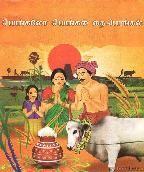 pongal greetings Happy Pongal In Tamil, Tamil Pongal, Pongal Festival Images, Hindu Aesthetics, Pongal Wishes In Tamil, Pongal Greetings, Tamil Village, Pongal Greeting Cards, Pongal Images