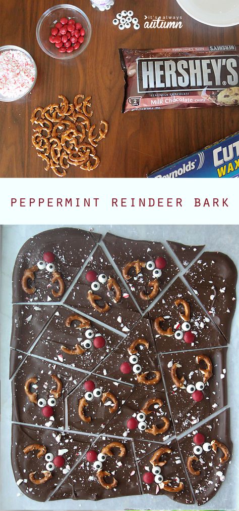 This is so cute! Chocolate peppermint reindeer bark is a fun Christmas treat that's super easy to make. My kids would love it! Reindeer Bark, Jul Mad, Cute Chocolate, Xmas Treats, Christmas Treat, Xmas Food, God Jul, Super Easy Recipes, Christmas Snacks