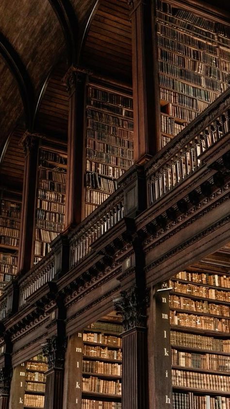 Dark Academia Wallpaper, Dark Acadamia, Flipagram Instagram, Castle Aesthetic, Aesthetic Dark Academia, Old Library, Library Aesthetic, Images Harry Potter, A Court Of Wings And Ruin