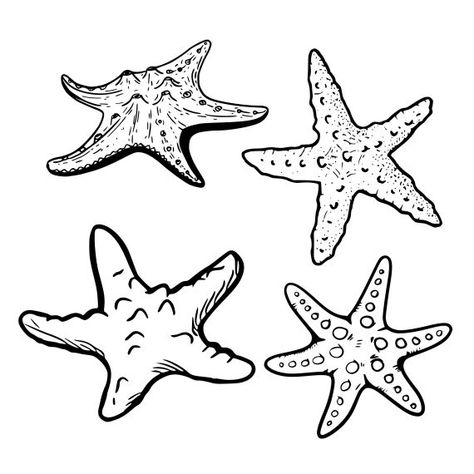 Starfish Tattoo Set Vector (EPS, SVG) Starfish Tattoo Designs, Star Fish Drawings, Draw Starfish, Starfish Sketch, Star Fish Tattoo, Starfish Drawing, Stars Shape, Shape Icons, Starfish Tattoo