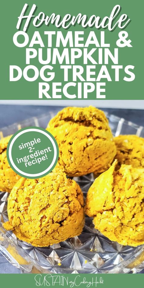 Pumpkin Dog Treats Recipe, Homemade Pumpkin Dog Treats, Puppy Treats Homemade, Recipe With Oatmeal, Dog Treats Homemade Pumpkin, Healthy Dog Snacks, Pup Treats, Baked Pumpkin Oatmeal, Dog Treats Recipe