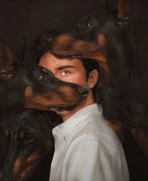 14 Signs You’re A Crazy Doberman Pinscher Person! Crazy Obsessed, Doberman Art, Dog Photoshoot, Studio Foto, Animal Magic, Doberman Pinscher, Dog Photography, Fotografi Potret, Character Aesthetic