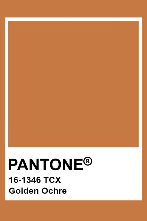 2019-2020 Autumn Winter "Noon" Golden Ochre Pantone Rose, Contact Photos, Pantone Orange, Pantone Tcx, Pantone Colours, Pantone Swatches, Pantone Palette, Pantone Colour Palettes, Wild Ginger